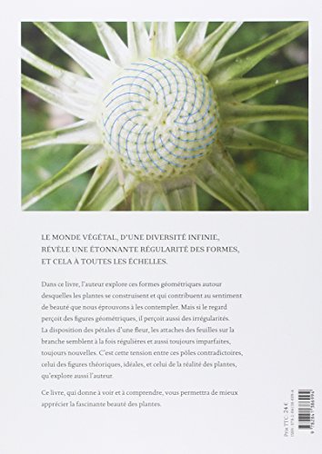 La géométrie dans le monde végétal