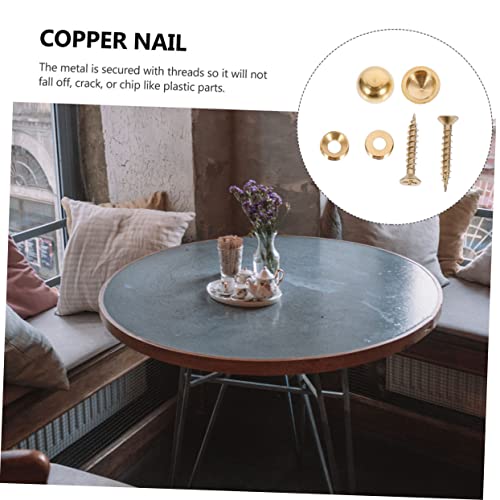 Gatuida 2sets Thickened Self-Tapping Advertising Board Screw Nails Furniture Nails for Glass Signs Acrylic Panels 16pcs*2 miniatura 5
