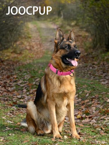 Image of Martingale Dog Collar, Reflective No Pull with Buckle, Pink, S | Escape Proof without choking ,Training Collar with Quick Release Buckle, Adjustable Heavy Duty Nylon collars for S M L Dogs