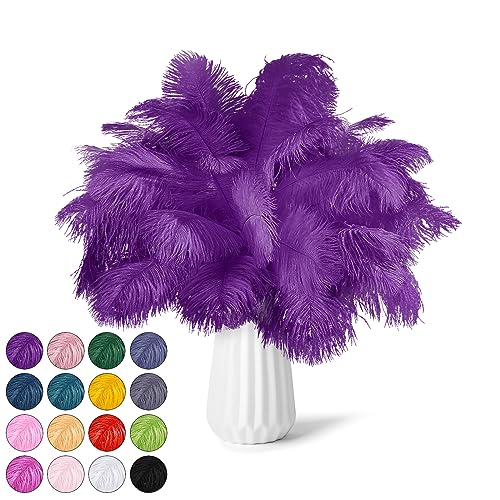 NEWONG 30pcs Purple Ostrich Feathers Natural Bulk 9-12inch(23-30cm) Vase Craft Wedding Home Party Centerpieces Christmas Day Decoration