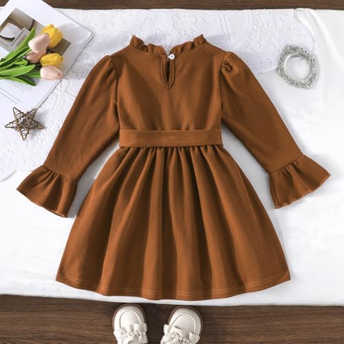 Toddler Girl Fall Dress Kids Ruffle Long Sleeve Dresses Little Girls Winter Clothes Outfits3