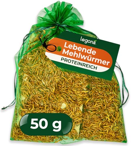 Legona Mehlwürmer lebend 50 g - Futterinsekten für Terrariumtiere und Hühner - Tenebrio Molitor Larven - In Thermobox verpackt kühl lagerbar