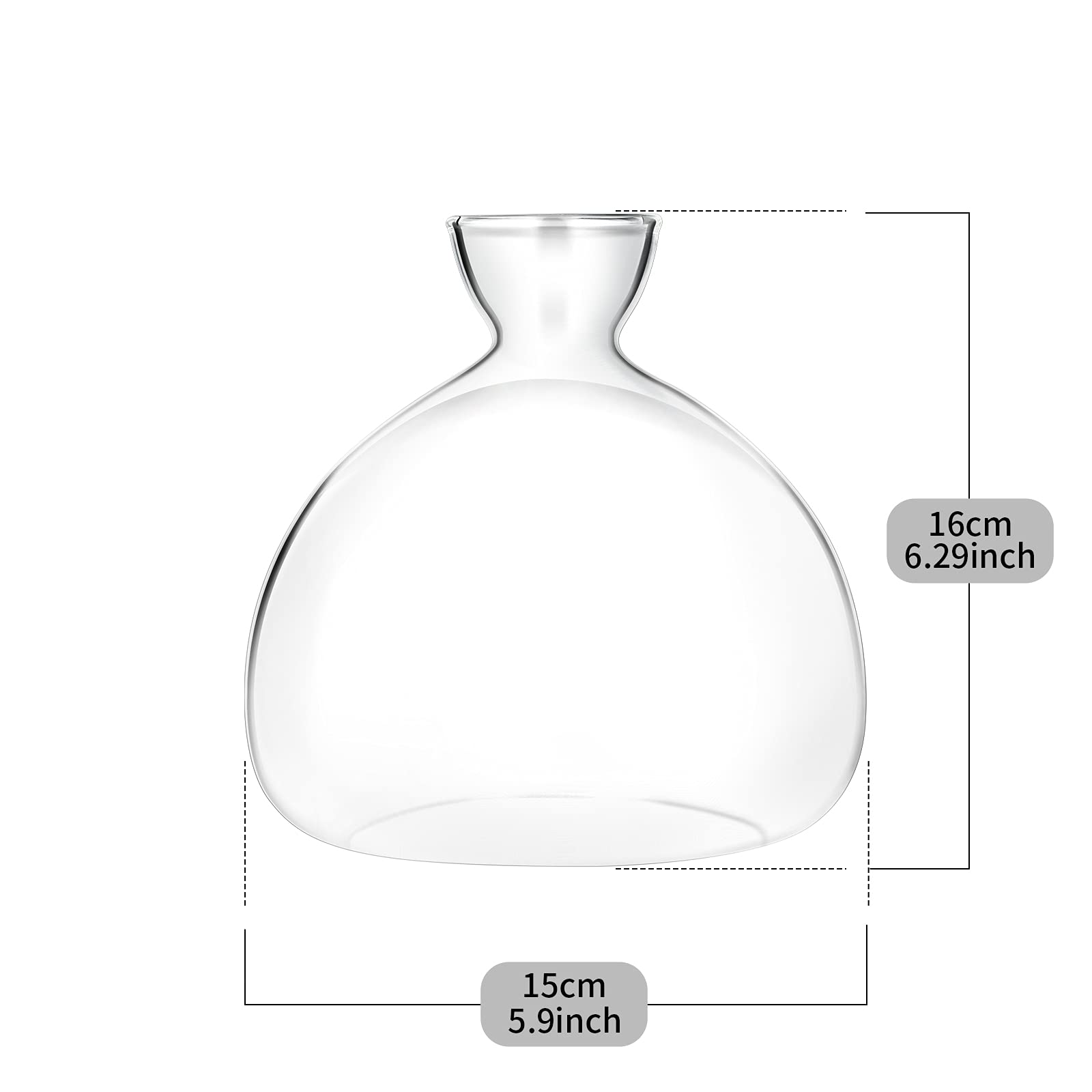 Kit de Culture d'Avocat Vases en Verre - Démarrage de Graines d'Avocat - Cadeaux de Jardinage
