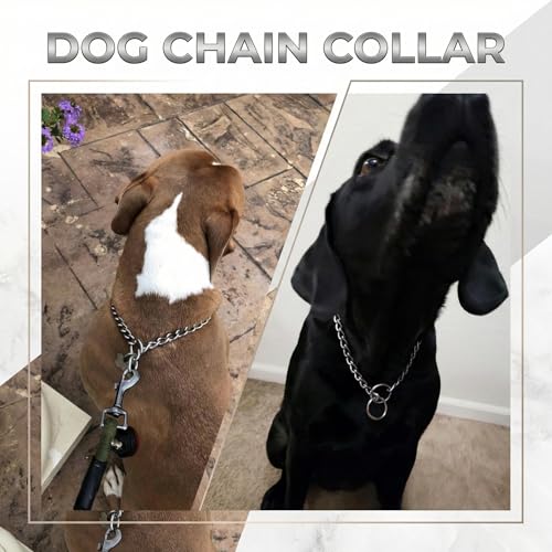 Alinw Dog Chain Collar, Thick Dog Choker Collar, Metal Choke Collars for Pet Outdoor Training Walking, Stainless Choker for Medium and Large Dogs (Length 55cm Diameter 3.0mm) - Image 5