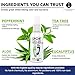 Natural Shoe Deodorizer Spray, Foot Deodorant Spray, Foot Odor Eliminator for All Shoes - Fights Athletes Foot & Stinky Feet - Tea Tree Oil, Peppermint, Spray Better Than Powder, Sneaker Balls - 4 Oz
