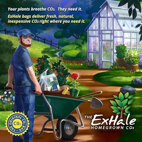 Exhale Homegrown CO2 XL 365