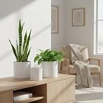 Nihow Pot de fleurs - 5 & 7 Pots en céramique de pouce pour les plantes intérieures - Sturdy & Cylindre de fusion pot avec drainage & Bouchons en caoutchouc amovibles - Blanc mat (ensemble de 2) - Plantes non comprises