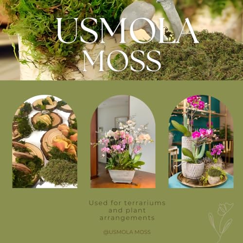 Image of USMOLA Fake Green Moss for Potted Plants, 4OZ Artificial Moss for DIY Crafts, Faux Moss for Table Centerpieces Fairy Garden Decor (Fresh Green 140gr)