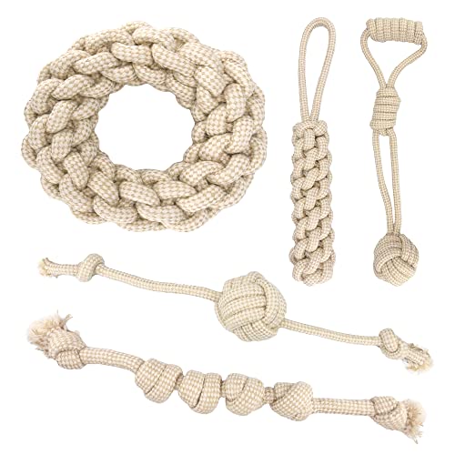 胍[v p 5_Zbg j ނ XgXU VRȑf ybgpi