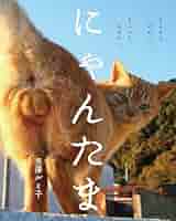 たまにゃん 51KaMIZ8iXL._SY200_QL15_.jpg