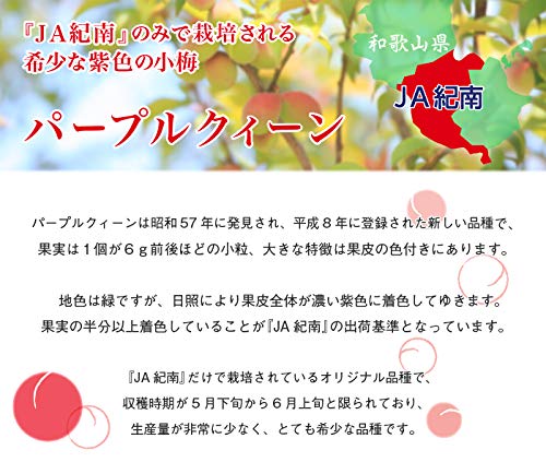 Amazon.co.jp: 梅 パープルクイーン 秀品 大玉 2Lサイズ 約1kg 和歌山