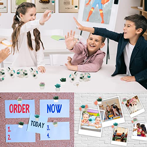 Chinchetas de corcho decorativas con forma de suculenta para oficina y aulas 7