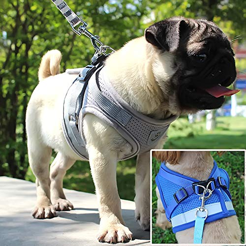 10/20Pcs Snap Hooks Heavy Duty 2.75"x0.83" Galvanized Swivel Snap Hooks with Spring Pet Buckle Multipurpose Dog Leashes Key Chain for Linking Pet Leash & Collar (10pcs) - Thumbnail 2