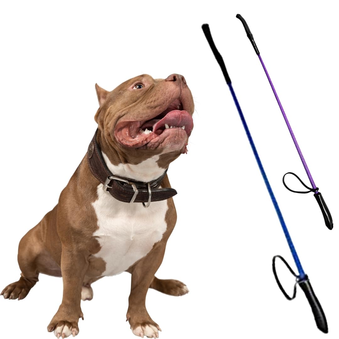 Sage Square Dog Walking & Training Stick 26inches, Nylon Cloth & with Comfortable Holding Non- Slippery Rubber Handle Grip, Pet Training Hunter Stick, Protection from Agrresive Dogs (Random) (B0CSN3JPDQ) Amazon Price History, Amazon Price Tracker