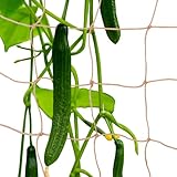 Geytetqi 2 Pcs Plant Support Netting, Natural Jute Net, Garden Trellis Netting for Climbing Vining Plants(6.6 Ft x 9.8 Ft, 5.9 Inch Squares)