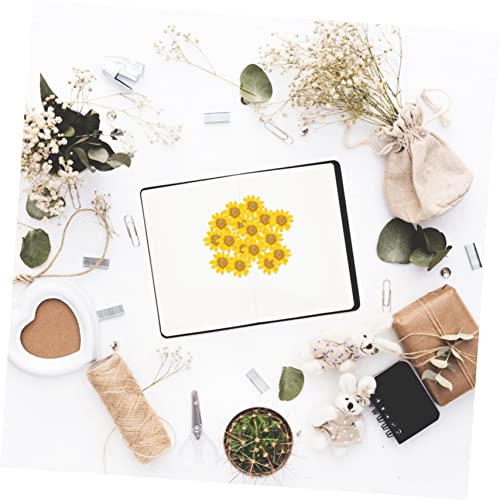 Flores Secas Margaritas 24 Piezas para Manualidades DIY miniatura 7