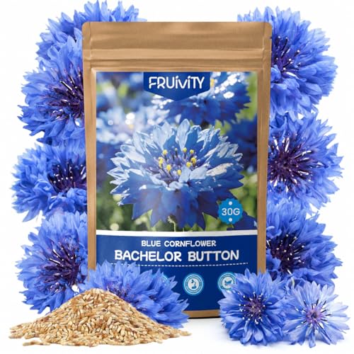 Fruivity 6000+ Cornflower Seeds Perennial for Planting Blue Bachelor Button Seeds Pollinator Friendly Flower Seeds for Outdoor Garden Attract Bees & Butterflies