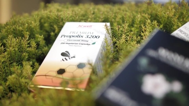 Amazon.com: Hi Well Premium Propolis 6000 Flavonoid 120mg