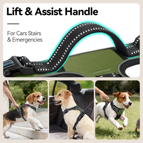 Image of PHOEPET No Pull Dog Harness with Handle Front & Back Clip, Easy on Lockable Snap Buckle at Neck, Adjustable Reflective Vest with Handle for Small Medium Large Dogs (S, Misty Green)