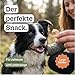 Riesengarnelen Gefriergetrocknet für Hunde und Katzen, 85,3% Protein, Natürlich ohne Konservierungsstoffe, Ideal als Snack oder Barf Zusatz