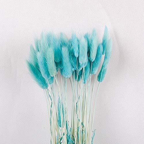 50-60PCS Home Decoration Lagurus Ovatus Rabbit Tail Grass Bouquets Dried Flowers, Uraria Crinita Real Flower, Eternal Flower Dried Grass Flower Bouquet Photo Props Home Party and Wedding (Blue)