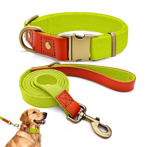 Qianruida Collare e Guinzaglio Cane in Nylon, Set di Addestramento, Regolabile, Resistente, Antifuga, Collari per Cani di Media e Grande Taglia, Giallo Fluorescente, XL