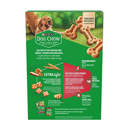 Purina Dog Chow Biscoito Dog Chow Cães Adultos Médios E Grandes Frango 500G