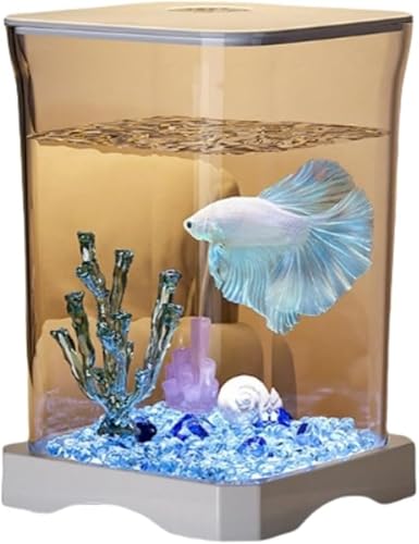 ^A1.4LRpNgLbgAxݒ20-30°CALEDCgtAȒPȐAȒPZbgAbvƃeiXAX^[^[^NɍœK (B)