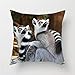qhtqtt Fodere per Cuscini Scimmie Scimmie Foto di Scimmie Selvagge Intelligenti Cuscini da Tiro Custodia per Sedia Divano Cuscini Decorativi per La Casa 45X45Cm B