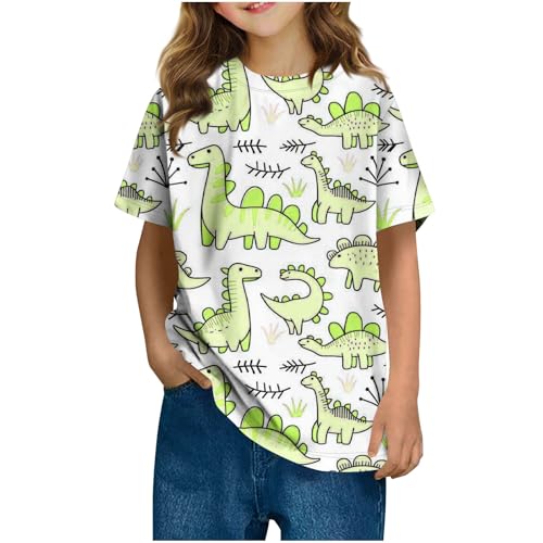 Girls Boys Funny T-Shirts Kids Fashion Cute Dinosaur Graphic Short Sleeve Basic Crewneck Summer Tops for 3-14 Years