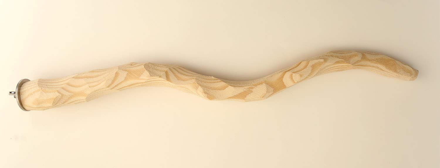 Perfect Perch for Conure, Senegal Parrot, Amazon, Galah, Pionus