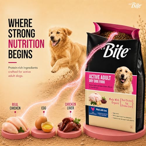 Image of Let's Bite Active Adult Dry Dog Food 10kg + 1kg Free (Total 11kg)