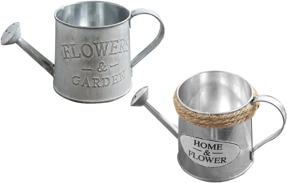 Ciieeo 6 Pcs Tin Watering Can Vintage Vases Tabletop Decor Cactus Plants Gardening Watering Cans Galvanized Decor Watering Kettle Vase Indoor Plant Stand House Plant Iron Desk Stand Rural