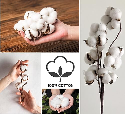 Newborn Baby Sleeveless Pack of 6 Tank Tops 100% Cotton Shirts, Short Sleeve Tees 0-24 Months Boys, Girls, Unisex3