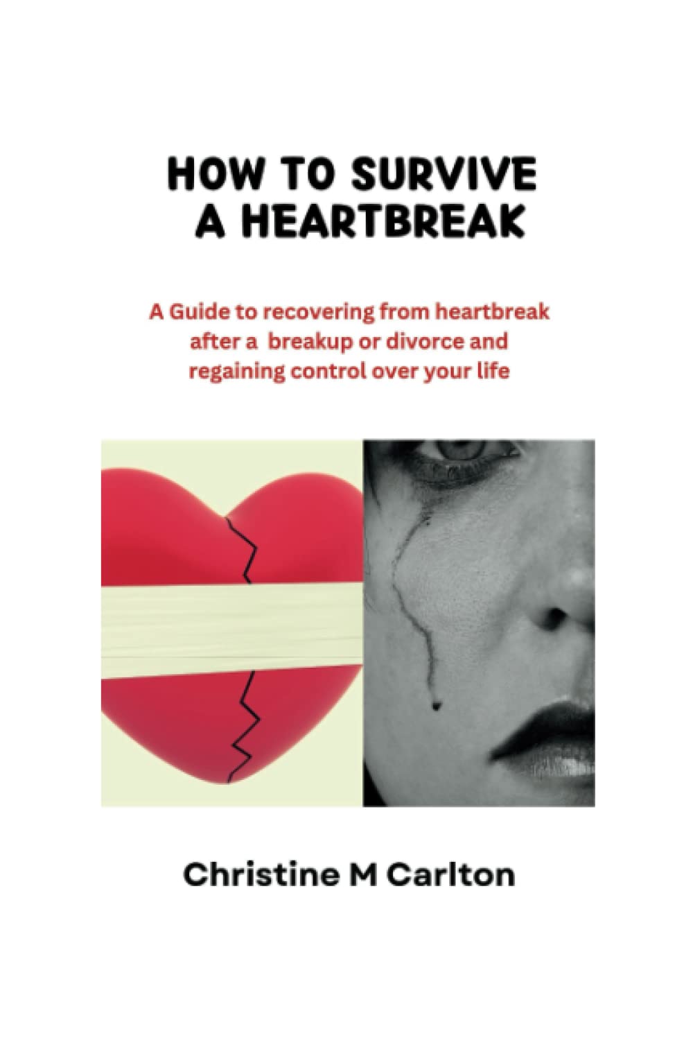 HOW TO SURVIVE A HEARTBREAK: A Guide to recovering from heartbreak after a breakup or divorce and regaining control over your life.