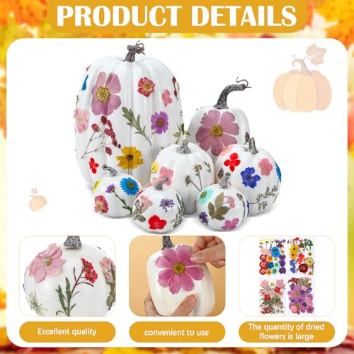 Kit de decoración otoño Halloween con 7 calabazas y 100 flores secas miniatura 3