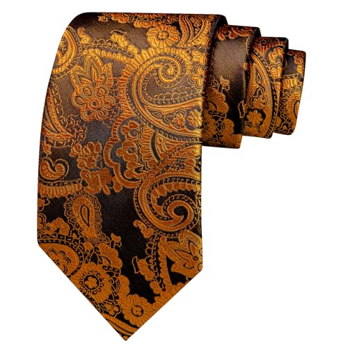 Image of Barry.Wang Paisley Tie for Men Silk Woven Necktie and Tie Clip Set Wedding Party Business Formal