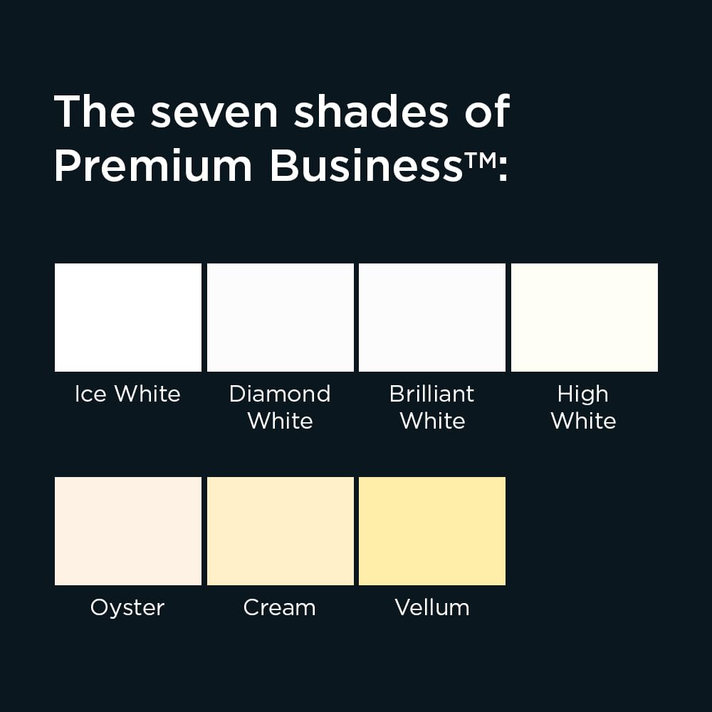 Blake Premium Business 210 X 297 mm 120 gsm Papier 31677 Ice White Wove Pakiet 500
