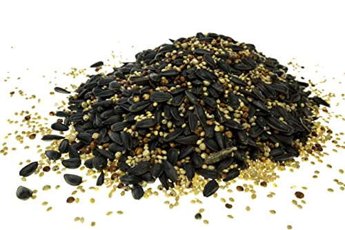Tecomate Upland Game Bird Mix (20 Pounds) - Turkey & Game Bird Food Plot Seed. A Premium Attractant for Doves, Quails, Pheasants and Turkeys That is Backed by Science - Thumbnail 2