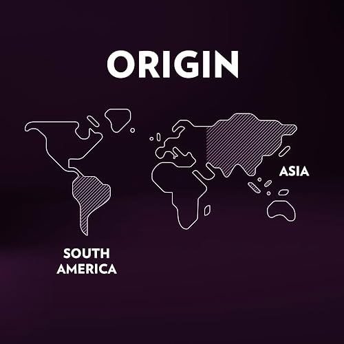 Miniatura 7 de Lavazza Expert Espresso Intenso - Cápsulas de doble shot, tostado oscuro, mezcla de arábica y Robusta, compatible con máquinas Lavazza Classy (36