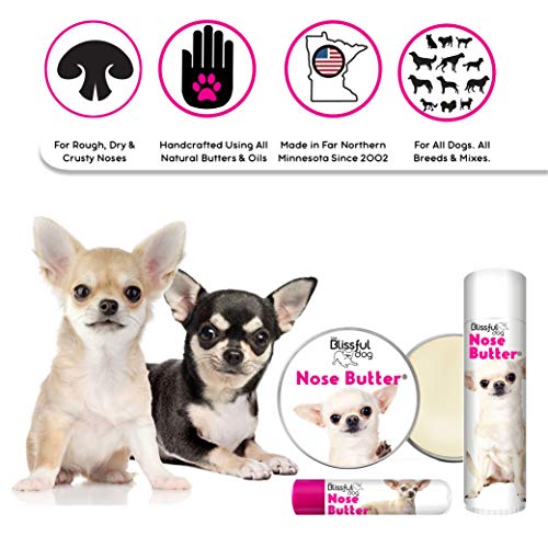 Image of The Blissful Dog Smooth Coat Chihuahua Nose Butter for Dry, Cracked Skin, Lick-Safe Dog Nose Balm with Moisturizing Shea Butter, Almond, Olive, and Essential Oils, Pet Supplies, Uncented, 0.15 oz.