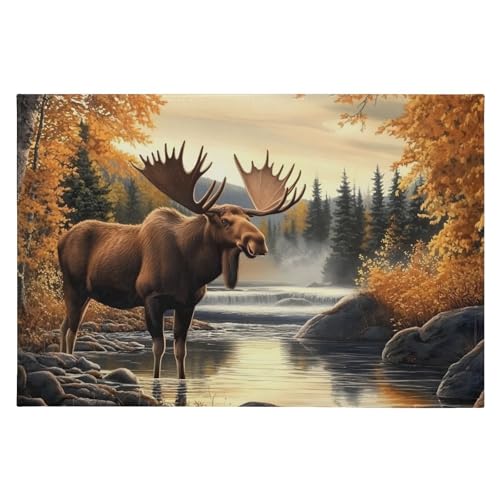 Tapete de área lavable YMXFXP 90x60 cm multicolor