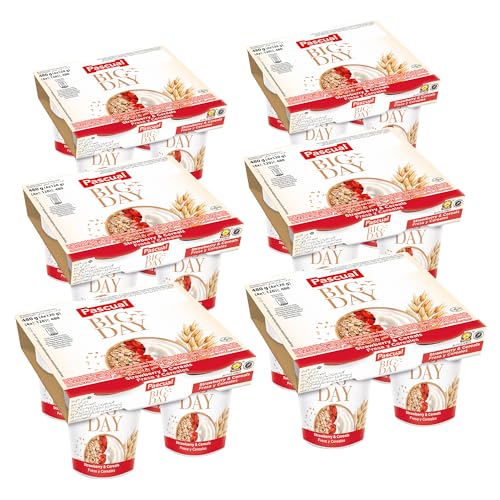 Pascual - Yogur BIG DAY con fresas y cereales. Caja de 6 Pack de 4 x 120g. Total 24 uds.