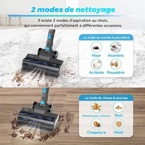 Aspirateur Balai sans Fil N300, 20KPa & 2 Vitesses, Aspirateur sans fil 175W, Aspirateur Léger, 40Min Autonomie, 6 en 1 Aspirateur Balai sans Sac pour Les Poils d'animaux, Tapis, Canapé, Voiture