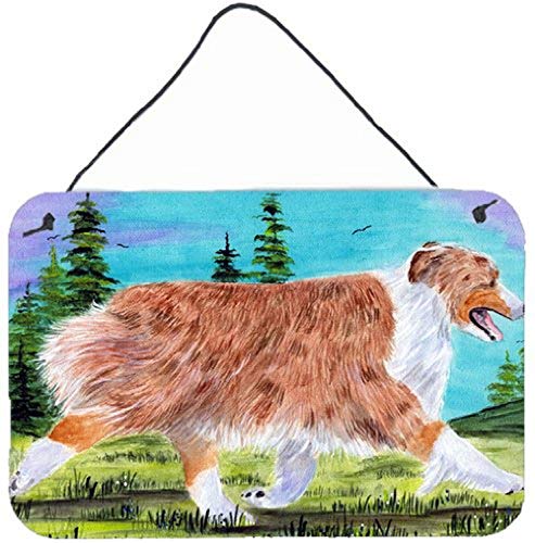 Caroline's Treasures SS8423DS812 Australian Shepherd Wall or Door Hanging Prints Aluminum Metal Sign Kitchen Wall Bar Bathroom Plaque Home Decor, 8x12, Multicolor