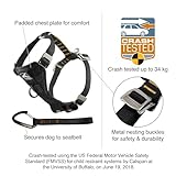 Kurgo TRU-Fit Leine, Halsband Hund, No Pull Hundegeschirr, Frontclipfunktion für Training & Hundegurt fürs Auto, Hunde Zubehör. Schwarz, Größe: L (groß)