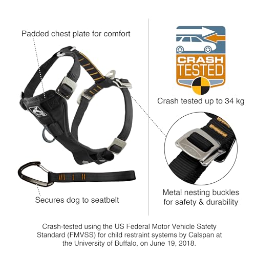 Enhanced Strenght Tru-Fit Smart Harness, Purple, Small - 2