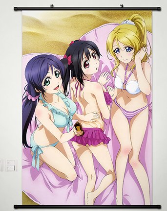 Amazon.com: Love Live Wall Scroll Poster Fabric Painting For Anime