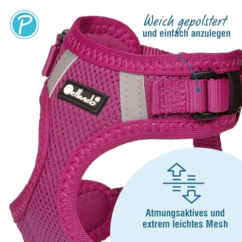 Petlando Hundegeschirr Mesh Vest, leichtes Brustgeschirr aus weichem Mesh & Nylon, stufenlos verstellbar, reflektierend mit 2 D-Ringen, Fuchsia M, Welpengeschirr mitwachsend