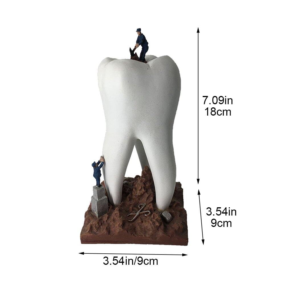 Amazon.co.jp: 樹脂 歯工芸品 彫刻 置物 歯科工芸品 おもちゃ ギフト